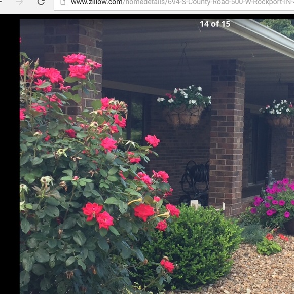 Meet your Posher, Julia - Picture 1 of 1